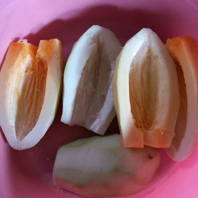 Langkah 6