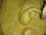 Roti Goreng anti gagal