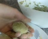 Foto del paso 6 de la receta: Falafel con salsa de yogur