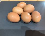 Foto del paso 2 de la receta: Tortilla campera al horno