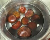 A picture of step 1 of Chestnuts Tempra.