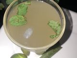 পুদিনা এলোভেরা শরবত (Pudina alovera shorbot recipe in Bengali)