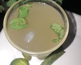 পুদিনা এলোভেরা শরবত (Pudina alovera shorbot recipe in Bengali) রেসিপি ধাপ - 3 ছবি