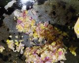Foto langkah ke 3 dari resep Martabak Telur ala Abang².