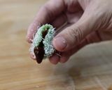 Foto langkah ke 9 dari resep Kue Klepon Devina Hermawan.