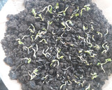 Foto del paso 4 de la receta: Microverdes/ brotes de girasol