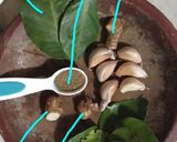 Foto langkah ke 1 dari resep Lodeh tahu manisa.
