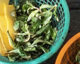 হিঞ্চের পাতা বাহার (hincher paata baahar recipe in Bengali) রেসিপি ধাপ - 1 ছবি