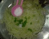 કાચા પપૈયાનું સલાડ(kacha papaya salad recipe in Gujarat) રેસીપી સ્ટેપ3ફોટો
