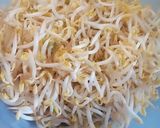 Foto langkah ke 1 dari resep Tumis sayur toge + tahu.