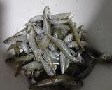 Foto del paso 1 de la receta: Pejerrey Frito