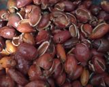 Foto langkah ke 2 dari resep Tumis Kulit Melinjo.