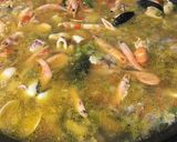 A picture of step 2 of Paella with Frozen Seafood Mix and Vegetables 🥘.