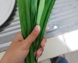 Foto langkah ke 4 dari resep 12. Ayam Pandan Thailand.