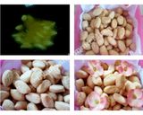 Foto langkah ke 3 dari resep Biji Ketapang Enak Mudah.