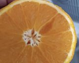 Foto del paso 4 de la receta Batido de Nectarina