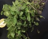 धनिया पुदीना की चटनी (Dhaniya pudina ki chutney recipe in Hindi) रेसिपी चरण 1 फोटो