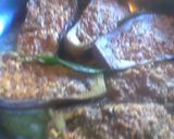 Foto del paso 1 de la receta: Berenjenas rellenas con arroz