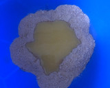 Foto del paso 4 de la receta: Pay de Limón 🍋