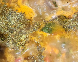Foto del paso 3 de la receta: Osobuco a la cerveza