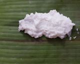 Hình bước làm 6 của món Buổi sáng Bánh nậm
