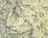 Foto del passaggio 1 della ricetta Risotto con crema di porri