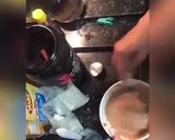 Foto do passo 1 de Panqueca proteica 🥞 ❤️
