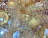 Foto del paso 13 de la receta: Locro a mi manera