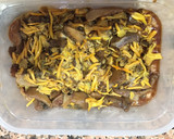Foto del paso 2 de la receta: Fricandó de ternera con setas de temporada