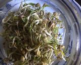 A picture of step 4 of California Farm Indoor Mung Bean Sprouts.