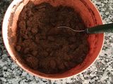 Chocolate Covered Mini Oatmeal Treats
