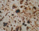 A picture of step 3 of Aloo paratha.