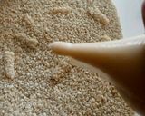 Foto langkah ke 3 dari resep Keciput wijen/onde-onde ceplus renyah.
