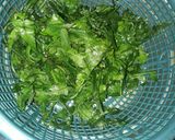 Foto langkah ke 1 dari resep Gulai pakis.