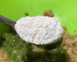 Foto del paso 3 de la receta: Tortillitas de lentejas ❤️🌱