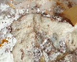 Foto del paso 4 de la receta: Roscón con leche aromática y chocolate puro