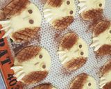 Une image de l'étape 5 de °biscuits chouettes de Noël °.