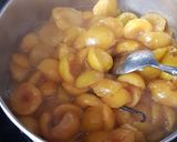 Une image de l'étape 2 de °Mousse de mirabelles °.
