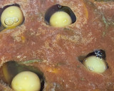 Foto del paso 3 de la receta: Shakshuka a la Cynthia Serena