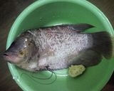 Foto langkah ke 1 dari resep Ikan Bakar Gurami Madu Sambal Dabu2.