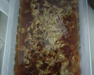 Puding Karang Rumput Laut - Step 6