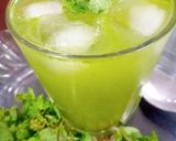 A picture of step 3 of Mint margarita.