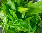 चिली पालक (chilli palak recipe in Hindi) रेसिपी चरण 1 फोटो