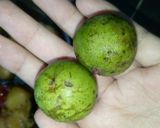 Hình bước làm 5 của món Canh Rau Muống Cà Dầm Tương