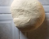 Foto del paso 2 de la receta: Pan rústico tradicional