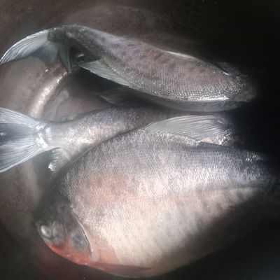 Langkah 1