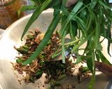 Foto langkah ke 4 dari resep Tumis Kangkung Teri nasi.