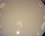 Foto del paso 1 de la receta: Sopa de langosta