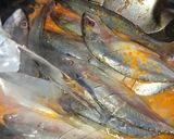 Foto langkah ke 4 dari resep Sarden Homemade Ikan Kembung.