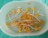 Foto langkah ke 1 dari resep Oseng2 3 bahan (labu, taoge dan ale).